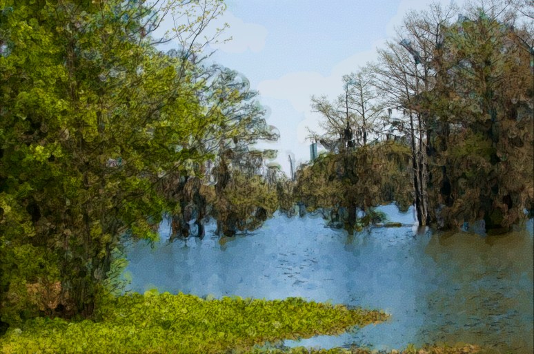 Lake Wilson in Portland Arkansas